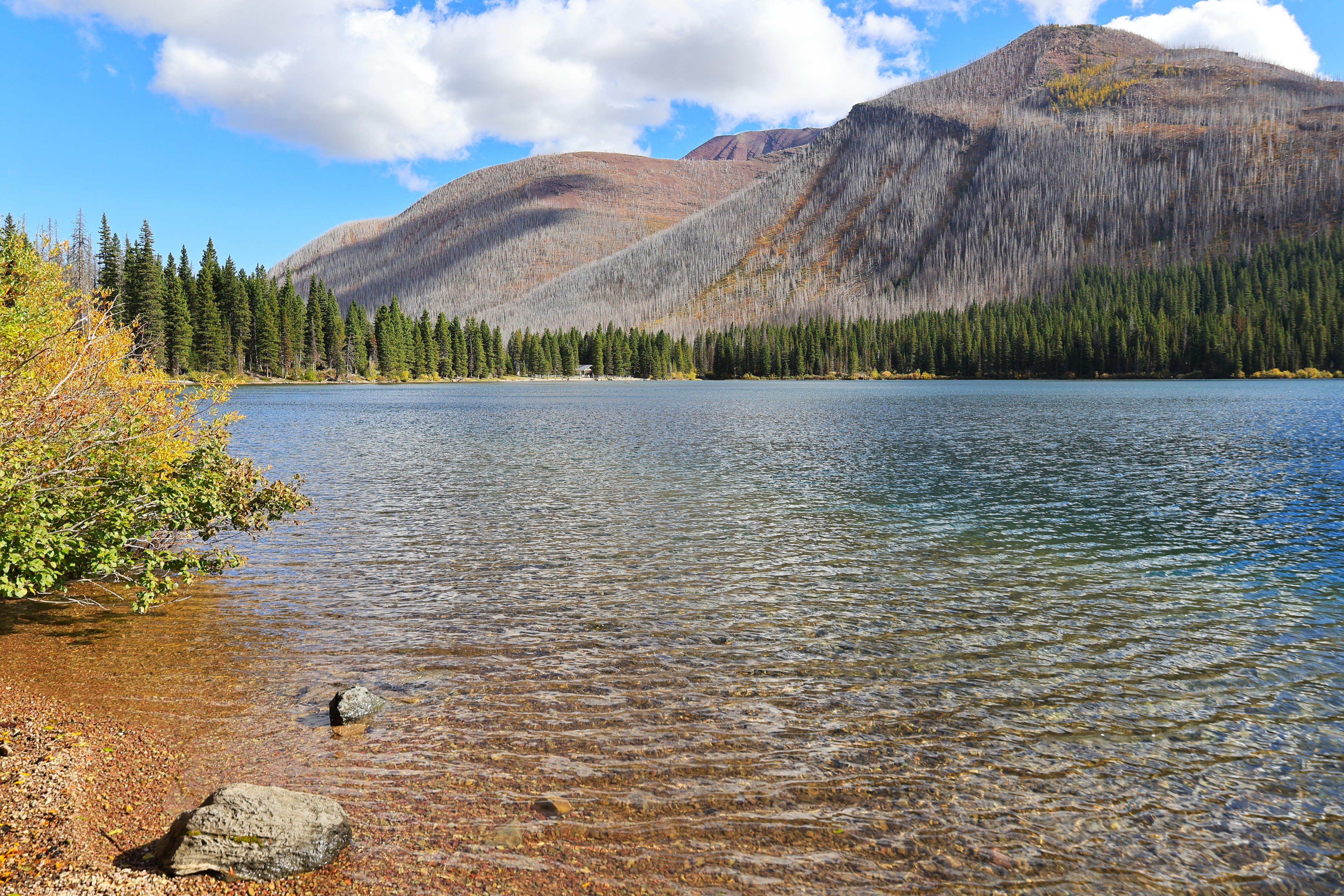 Cameron Lake